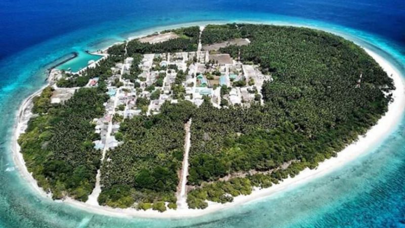 Sh. Narudhoo Council to lease Screw Pine plants in the Island
