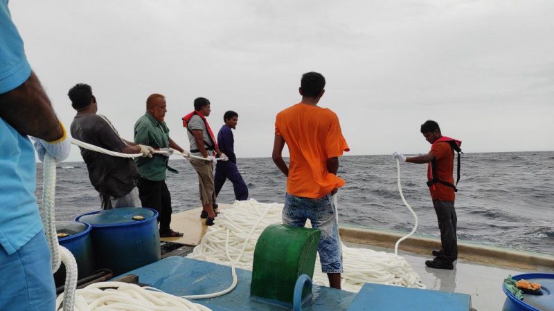Reinstallation of FADs near Ha. Filladhoo and Sh. Komandoo begun