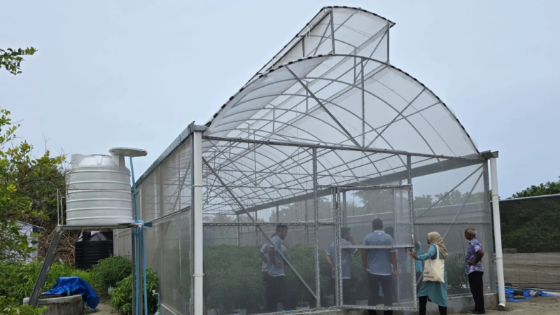 Greenhouse Farming Initiated in 11 Islands of Greater Thiladhunmathi