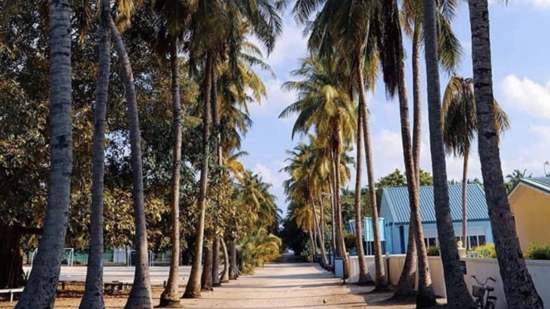 A Social and Mental health awareness sessions to be conducted in Ha. Molhadhoo