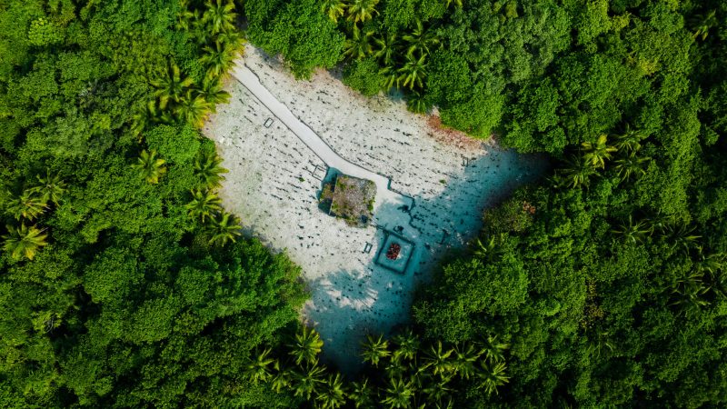Ha. Molhadhoo Council to lease Screw Pine Plants and Coconut Trees in 8 areas of the island