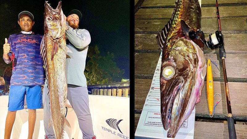 14.06kg  pending world record Black Snoek caught in Maldives