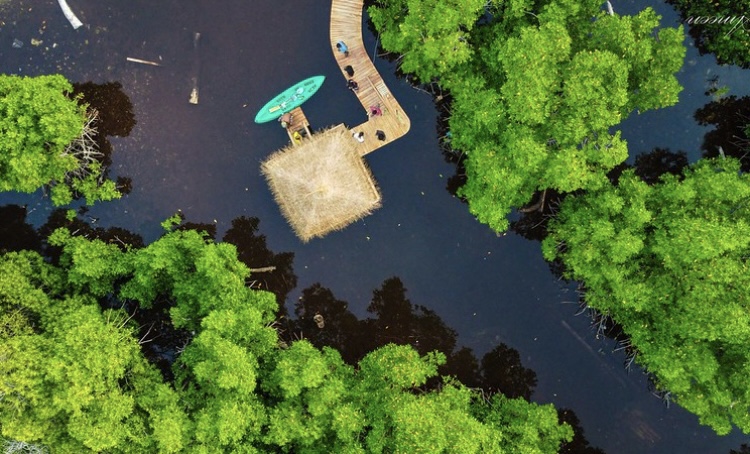 Kumundhoo's "Vehisaraa" protected!