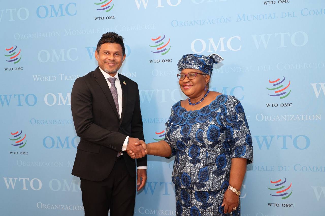 Vice President meets with Director General of WTO
