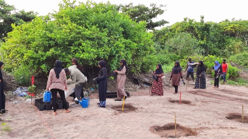 A Basic Farming program commenced in Sh. Feydhoo