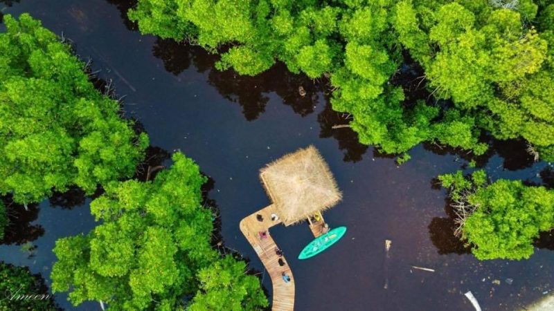 Bidding open for designing Kumundhoo nature park concept and conducting an EIA