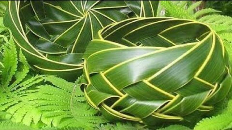 HDh. Finey WDC to conduct a program to teach how to make crafts from palm leaves