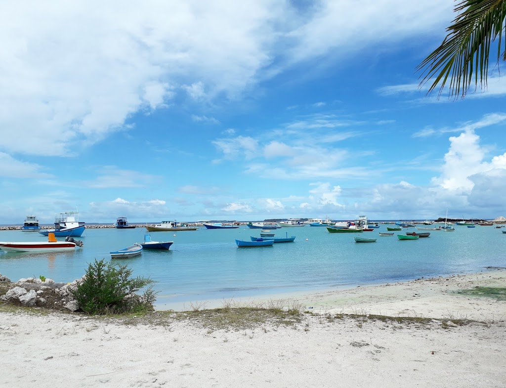 Kulhudhuffushi City Council to lease land to produce dried fish, salted dried fish, and for sea cucumbers business