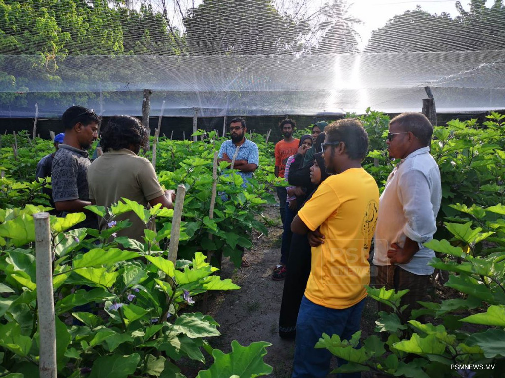 Agro National Coporation searching for Atoll Coordinators