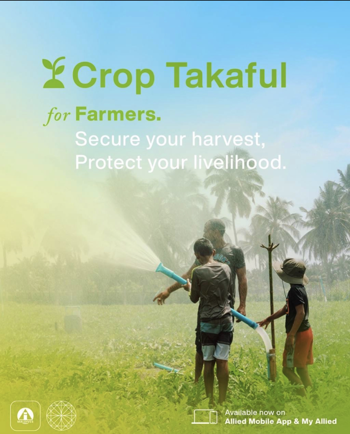 'Crop Takaful' launched by Allied Insurance Company