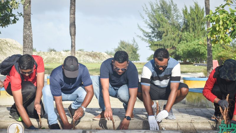 900 trees planted and 25 tonnes of waste collected in Kulhudhuffushi city