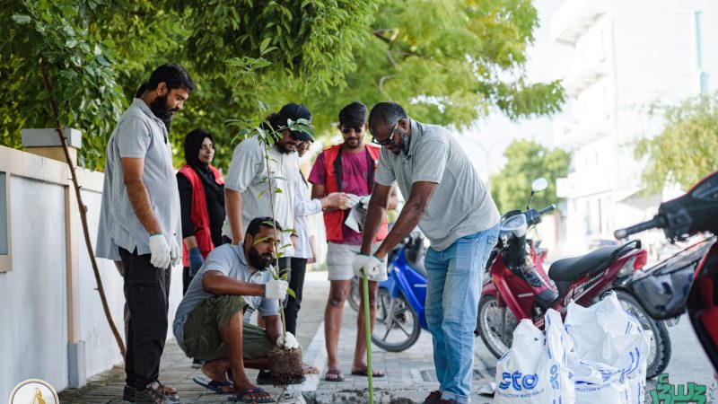 Kulhudhuffushi City Council and the Ministry of Agriculture to launch a tree planting programme