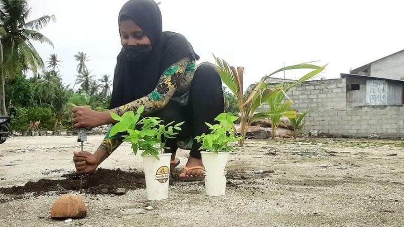 Ha. Muraidhoo WDC organized a tree-planting program