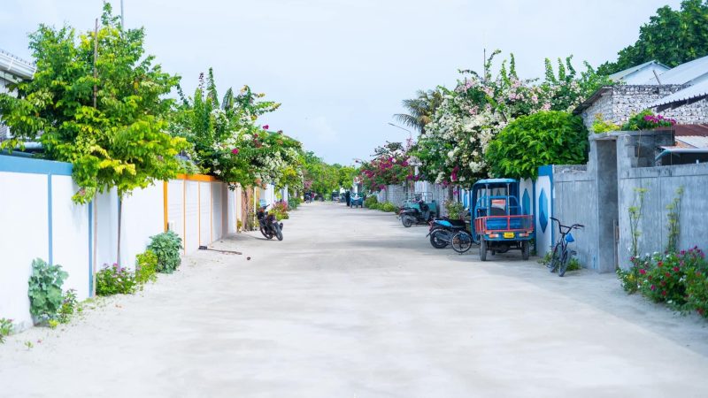 HDh. Nellaidhoo Health Center has requested resident to be precautious as dengue cases are rising in the island