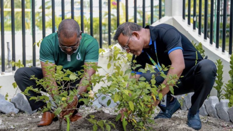 MWSC has launched special activities as part of its 'Nala Veshi' campaign