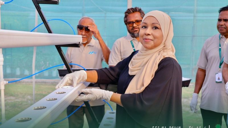 Vertical Farming pilot project commenced in HDh. Hanimaadhoo Agriculture Center