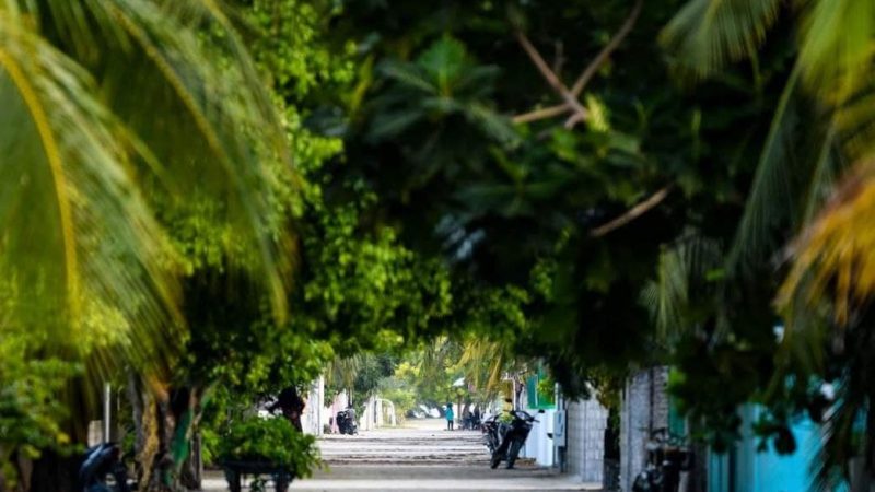 Domestic Airports to be built in six islands including Makunudhoo and Bilehfahi