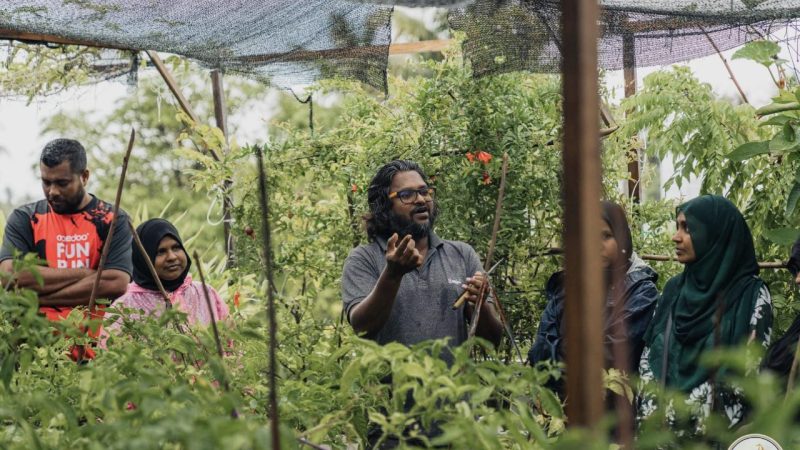 Training Program on how to Farm at Backyard of houses conducted in Kulhudhuffushi City