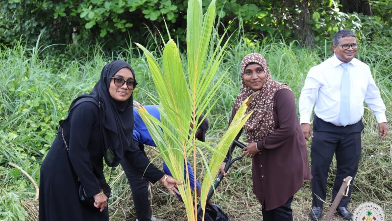 Coconut Trees planted in HDh. Nolhivaram under “New Generation of Coconut Trees” initiative