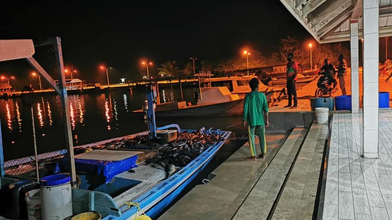 Fishing Race to be held in Utheemu to mark Fishermen's Day
