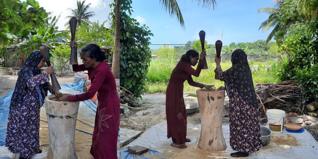 H. Dh Vaikaradhoo Locals and their Rigorous Work on Finger Millets (Binbi)