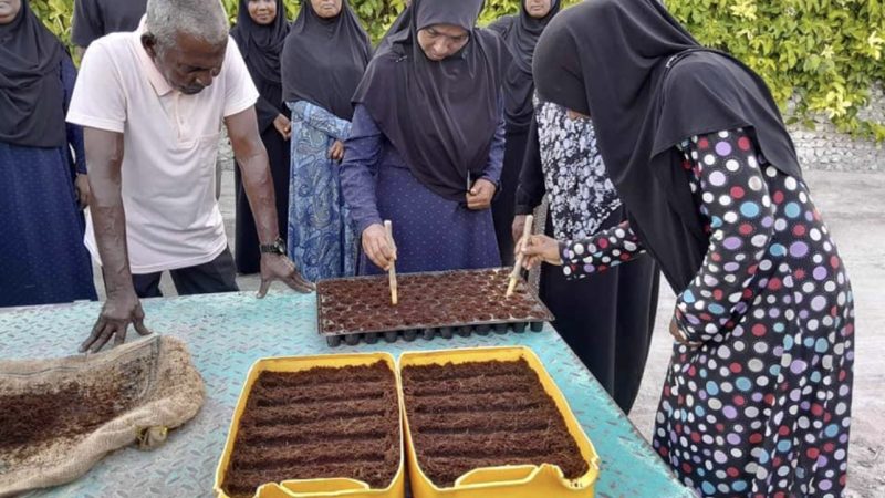 An Agriculture training program ongoing at Sh. Lhaimagu