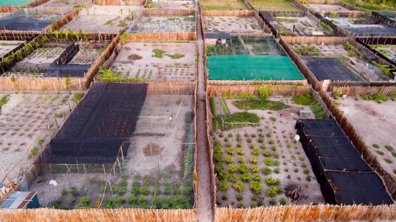 HDh. Makunudhoo Council to temporarily lease land plots for farming