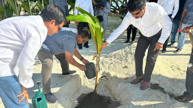 Coconut Trees planted in Ha. Utheemu and Ha. Hoarafushi under “New Generation of Coconut Trees” initiative