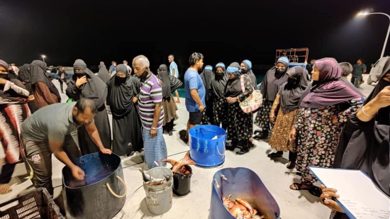 Fishing Race to be held in Nellaidhoo to mark Fishermen's Day