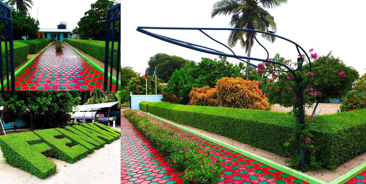 Thuraakunu Fenaka Office – an exultance of greens