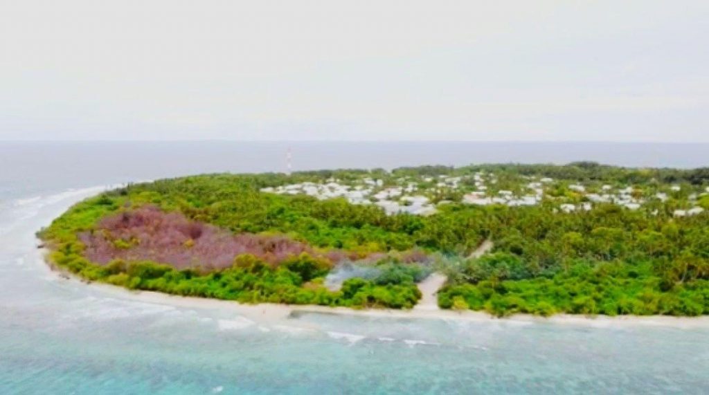 Mangrove Die - Offs, Not a Nation Wide Problem?