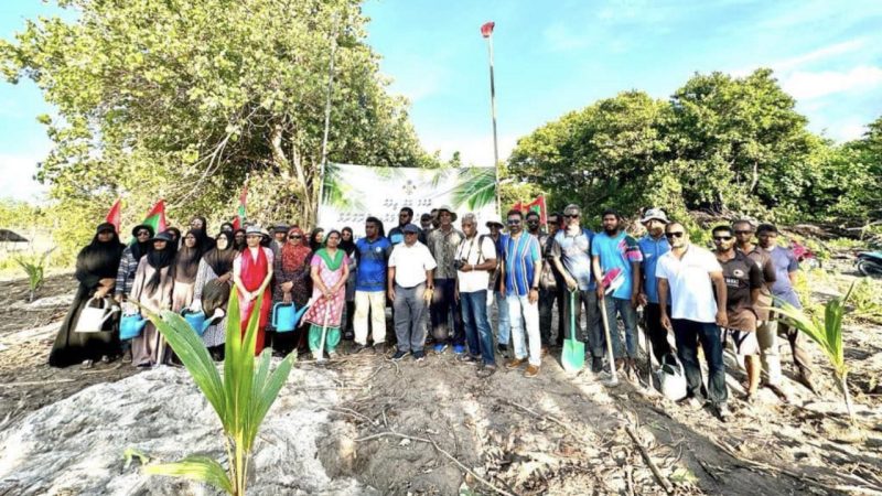 Coconut Trees planted in HDh. Neykurendhoo under “New Generation of Coconut Trees” initiative