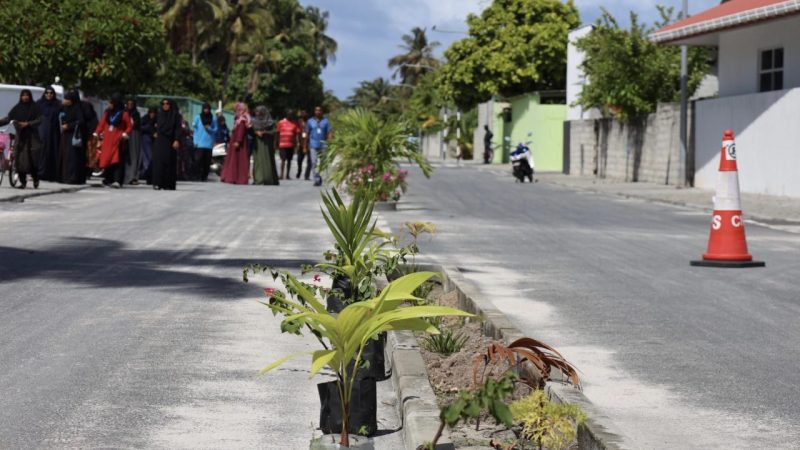 A 1,000 tree plantation program began in HDh. Hanimaadhoo