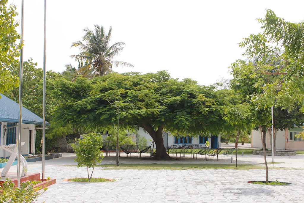 A quran and islamic center to be opened at Kelaa