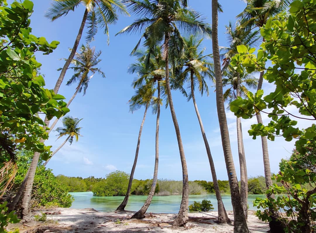 ހއ. ބާރަށުން ފާހަގަކޮށްލެވޭ ތާރީޚީ 10 ކަމެއް - ދެވަނަބައި