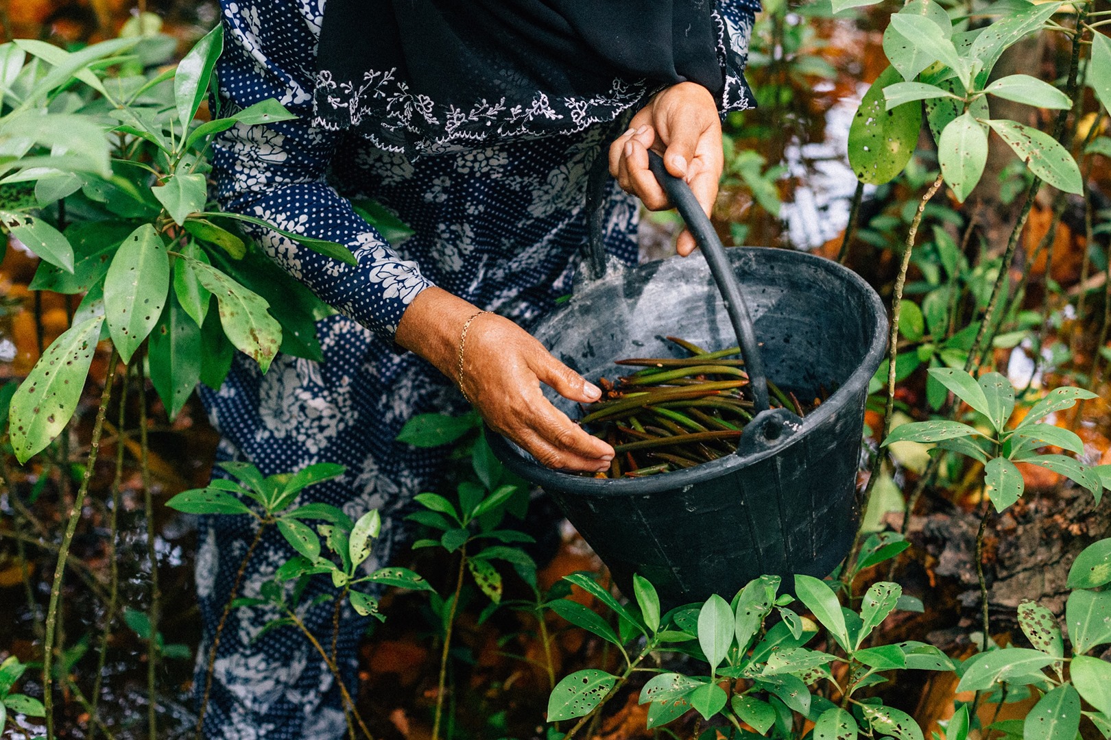 ކެލާގެ ކަނޑުލުން ނަފާ ހޯދަން އަތުކުރި އޮޅާލަނީ
