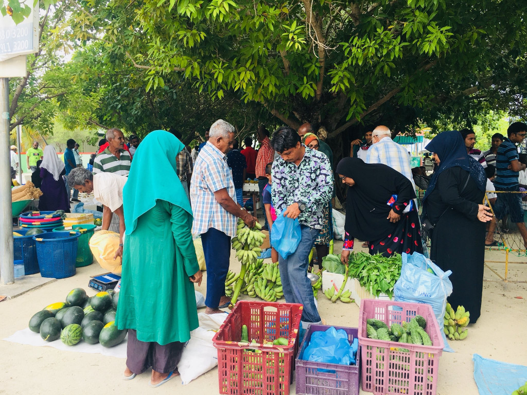 މަދު މަހުޖަނުންގެ އިގްތިސާދަކުން ގިނަ ރައްޔިތުން ޝާމިލްވާ އިގްތިސާދަކަށް ބަދަލުކުރުން