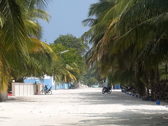 ފެތުރެމުންދާ ހުން ކޮންޓްރޯލް ވެއްޖެ: ކެލާ ސިއްޙީ މަރުކަޒު