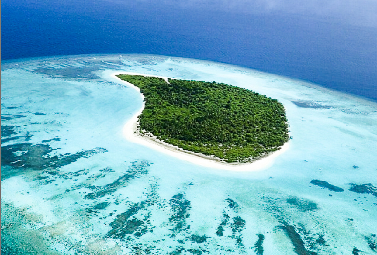 ނ. ރާފުށި ވިއްކާލަނީ
