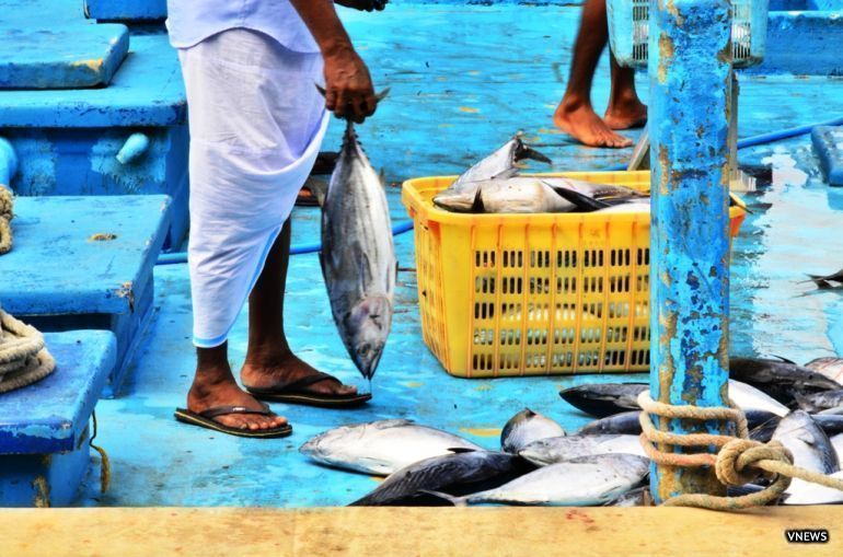 މަސްވެރިކަމު ނިކުމެއުޅުނު ބަންގްލަދޭޝް މީހަކު ކުއްލިގޮތަކަށް މަރުވެއްޖެ
