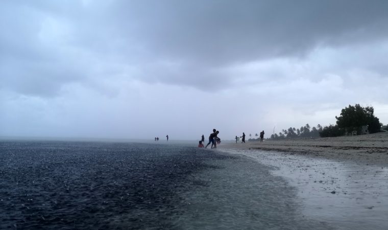 ބޮޑު ތިލަދުންމައްޗަށް ވައިޓް އެލަރޓް ނެރެފި