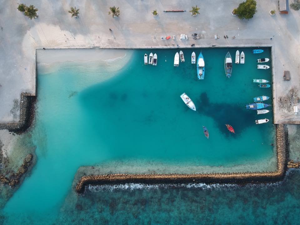 ނެއްލައިދޫ އާއި އިހަވަންދޫ ބަނދަރުގެ އީއައިއޭ ރިޕޯޓް ހަދައިދޭނެ ފަރާތެއް ހޯދަނީ