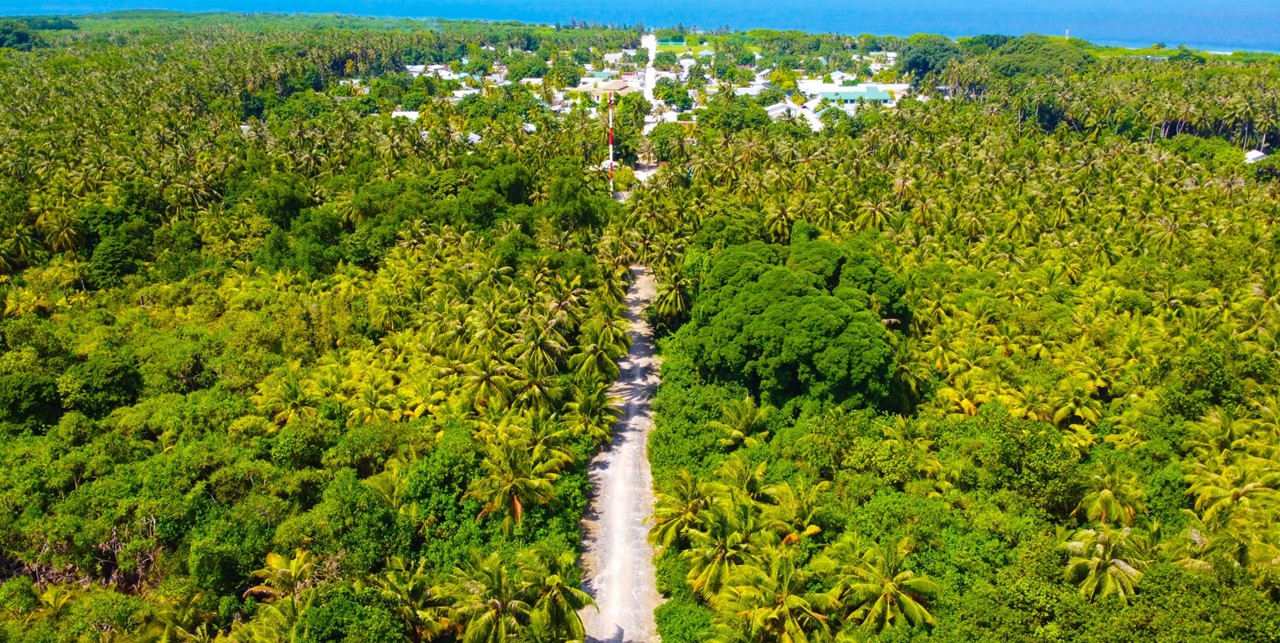ކުމުންދޫގައި ކައުންސިލްގެ ހުއްދަނެތި ވަލުތެރެ ކޮށައި ގަސް އިންދުން މަނާކޮށްފި