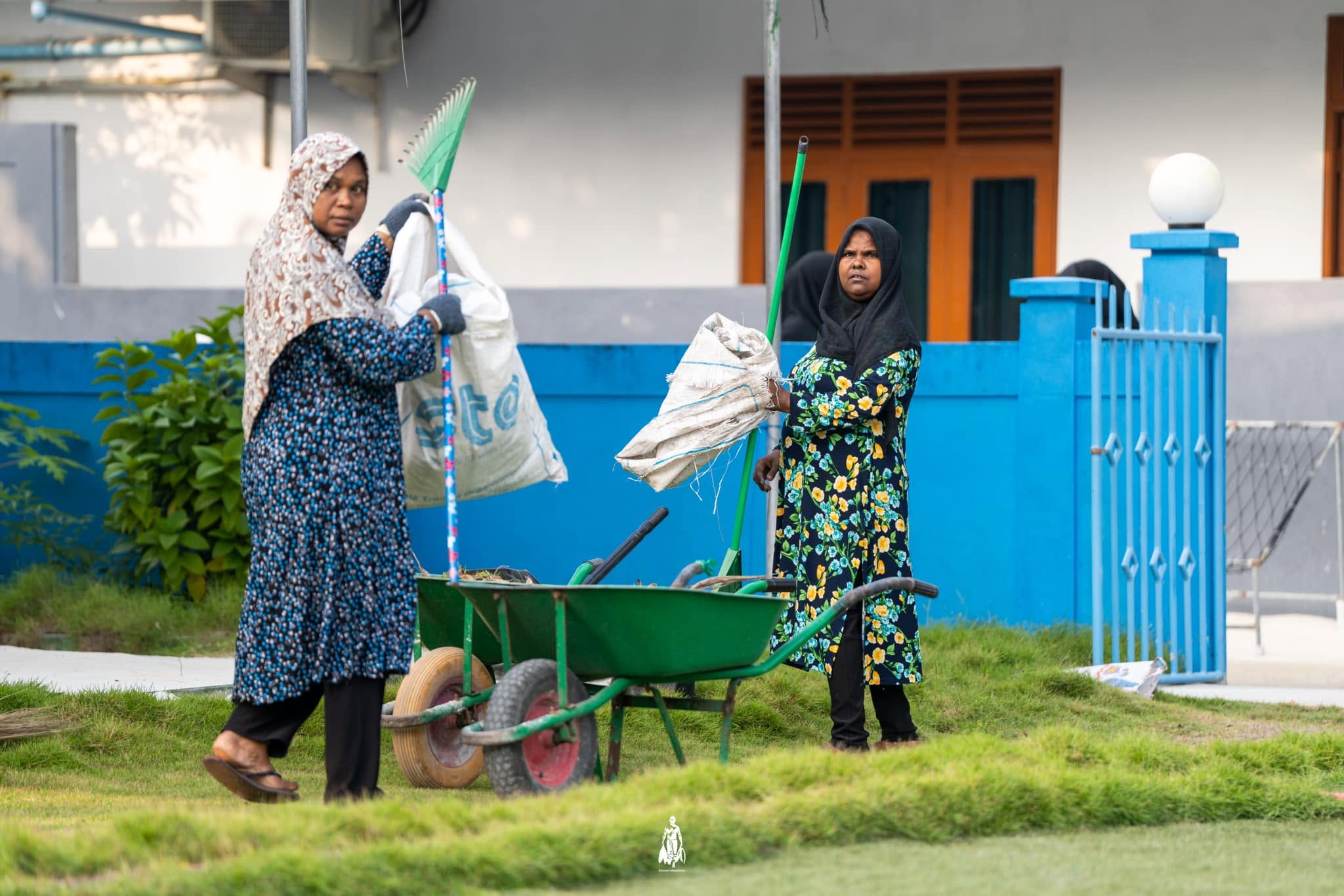 މާއުނގޫދޫގައި ކުނި މެނޭޖްކޮށް ޕެސްޓް ކޮންޓްރޯލް ކޮށްދޭނެ ބަޔަކު ހޯދަން ބީލަމަށް