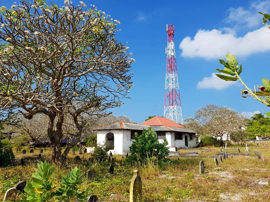 ނޭކުރެންދޫ މިސްކިތު ގޯތީގައިވާ ވެވު މަރާމާތުކުރަން ބީލަމަށް ހުޅުވާލައިފި