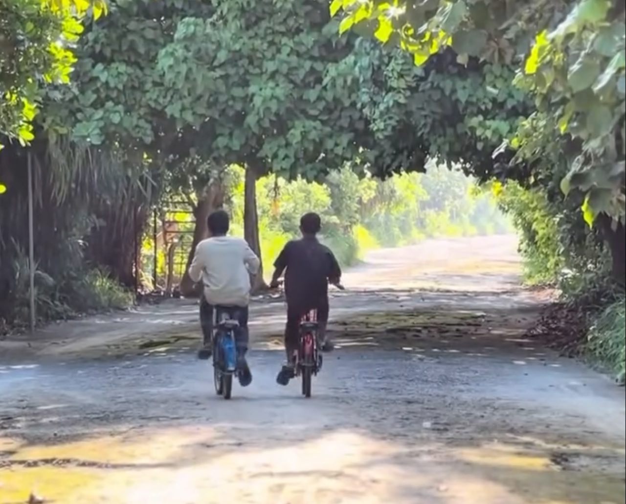 ކަނޑިތީމުގެ 12 މަގެއްގައި ތާރުއަޅަނީ