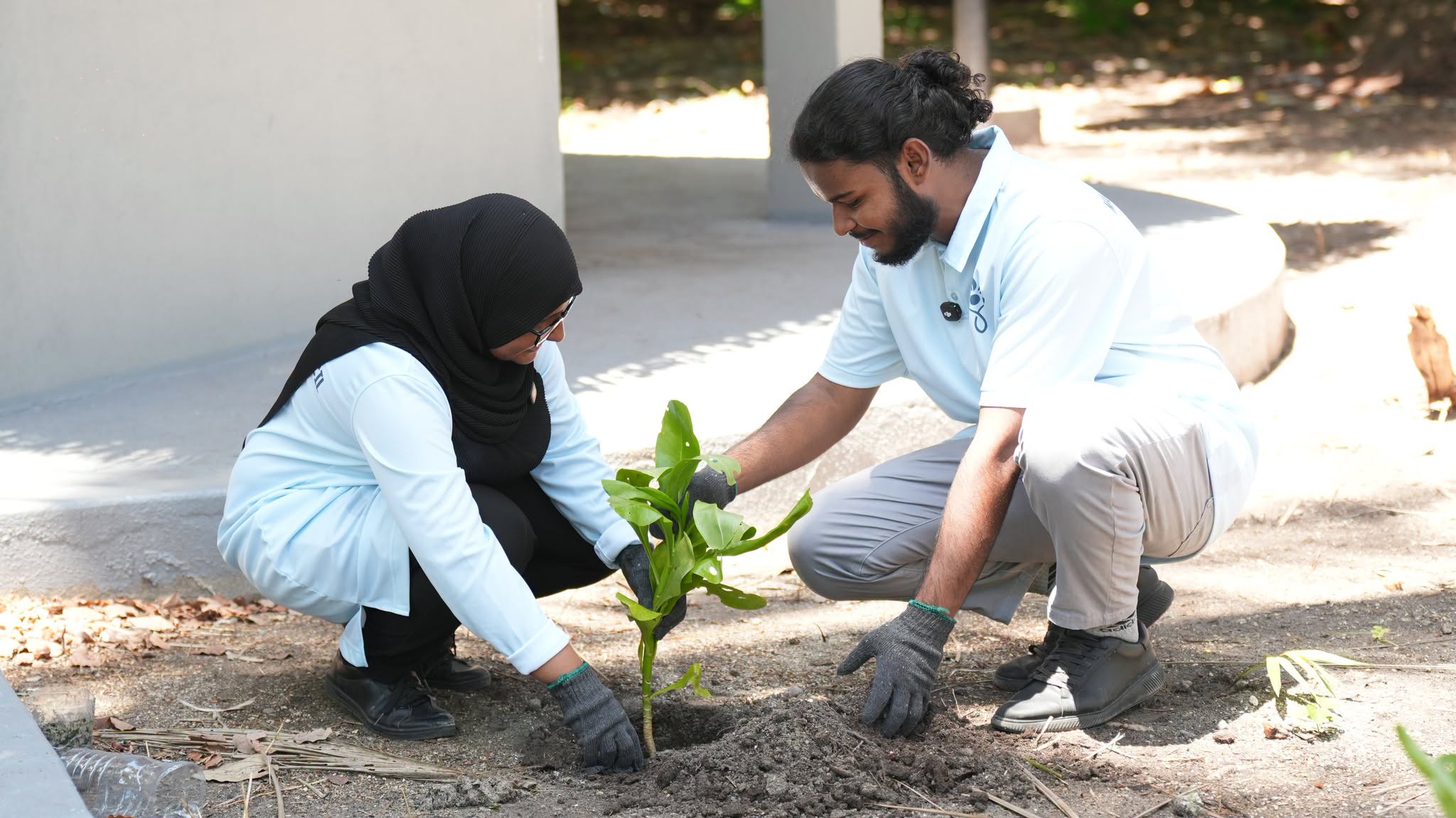 މާއުނގޫދޫ ކައުންސިލުން ރަށް ފެހިކުރަން ޚާއްޞަ ޕްރޮގްރާމެއް، ގަސް ހަދިޔާކުރުމުގެ ފުރުސަތު!