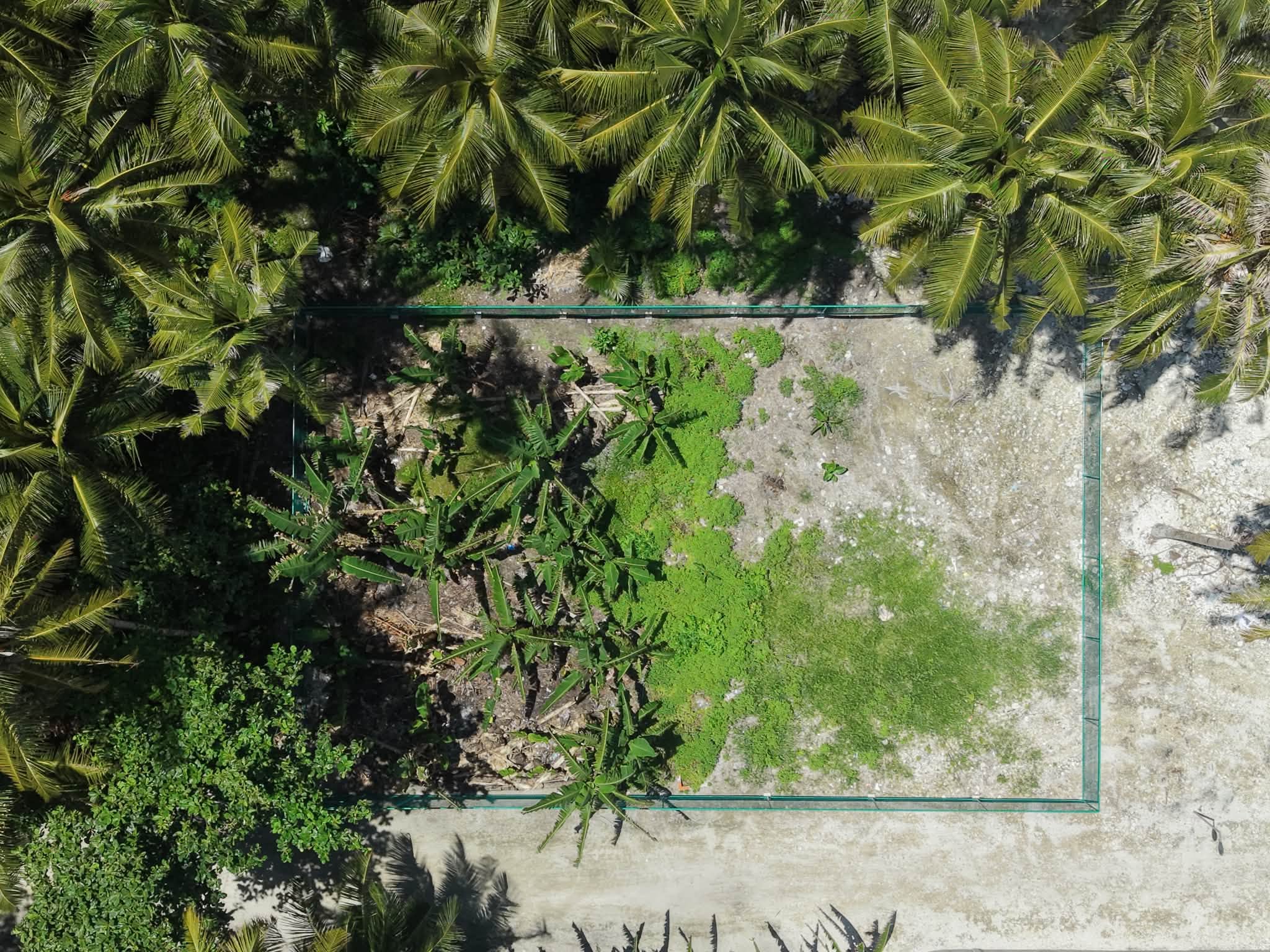 މާއުނގޫދޫ އަންހެނުންގެ ކޮމިޓީގެ ދަނޑު ބިން ސާފުކޮށް ފެންސް ޖަހައި ކުއްޔަށް ދޫކުރުމަށް ތައްޔާރުވެއްޖެ