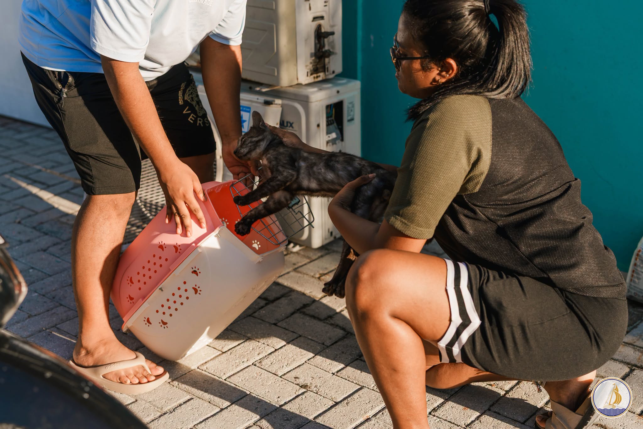 ކުޅުދުއްފުށީ ސިޓީގެ ބުޅަލުގެ އާބާދީ ކޮންޓްރޯލް ކުރަން ހާއްސަ ޕްރޮގްރާމެއް