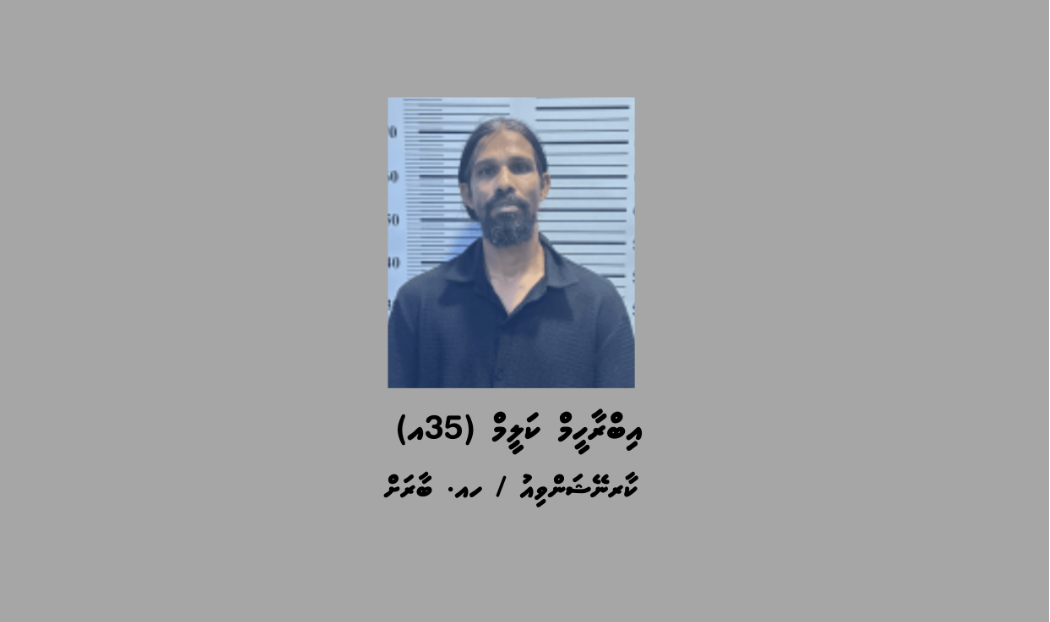 ކުޅުދުއްފުއްޓަށް މަސްތުވާތަކެތި އެތެރެކުރަން އުޅުނު ބާރަށު މީހަކު ހައްޔަރުކޮށްފި
